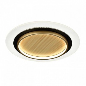 Накладной светильник Sonex Sunny 7731/80L в Сысерти - sysert.ok-mebel.com | фото 4