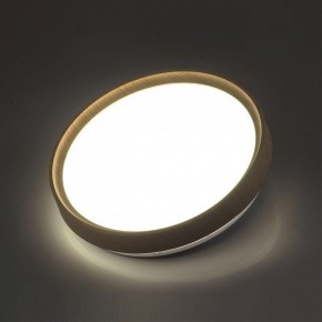 Накладной светильник Sonex Woodi 7603/CL в Сысерти - sysert.ok-mebel.com | фото 3