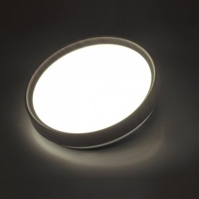 Накладной светильник Sonex Woodi 7627/CL в Сысерти - sysert.ok-mebel.com | фото 3