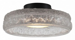 Накладной светильник ST-Luce ANTIKE SL6143.402.01 в Сысерти - sysert.ok-mebel.com | фото 2