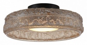 Накладной светильник ST-Luce ANTIKE SL6143.422.01 в Сысерти - sysert.ok-mebel.com | фото 3