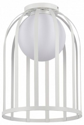 Накладной светильник ST-Luce Nordic SL6129.502.01 в Сысерти - sysert.ok-mebel.com | фото