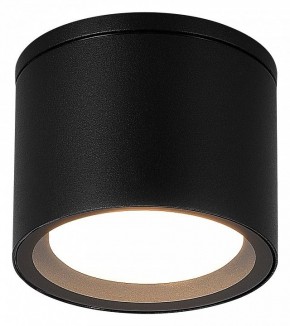 Накладной светильник ST-Luce Tubo SL9006.402.01 в Сысерти - sysert.ok-mebel.com | фото 2