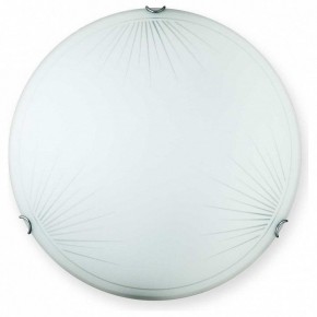 Накладной светильник TopLight Wifa TL9142Y-00WH в Сысерти - sysert.ok-mebel.com | фото