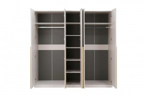 НИКОЛЬ 25 Шкаф 5-ти створчатый в Сысерти - sysert.ok-mebel.com | фото 3
