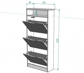 Обувница W10 (ДСС) в Сысерти - sysert.ok-mebel.com | фото