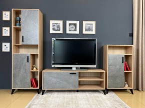 ОСКАР TRIO Гостиная (дуб золотой/каспий темный) в Сысерти - sysert.ok-mebel.com | фото 2