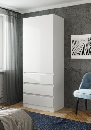 ПАРУС Шкаф 2-х ств. 800 в Сысерти - sysert.ok-mebel.com | фото