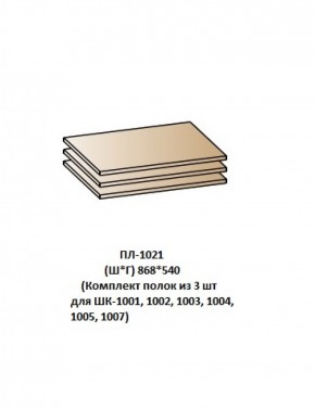 ПЛ-1021 (Комплект полок из 3 шт для ШК-1001, 1002, 1003, 1004, 1005, 1007) в Сысерти - sysert.ok-mebel.com | фото