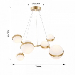 Подвесная люстра Favourite Asterismo 4448-6P в Сысерти - sysert.ok-mebel.com | фото 5