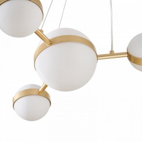 Подвесная люстра Favourite Asterismo 4448-6P в Сысерти - sysert.ok-mebel.com | фото 7