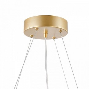 Подвесная люстра Favourite Asterismo 4448-6P в Сысерти - sysert.ok-mebel.com | фото 9