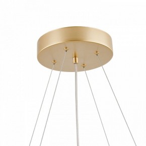 Подвесная люстра Favourite Asterismo 4448-8P в Сысерти - sysert.ok-mebel.com | фото 8