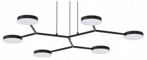 Подвесная люстра Favourite Vorago 4632-6P в Сысерти - sysert.ok-mebel.com | фото