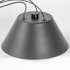 Подвесная люстра Lussole Hopkins LSP-7408 в Сысерти - sysert.ok-mebel.com | фото 7
