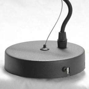 Подвесная люстра Lussole Huron LSP-8156 в Сысерти - sysert.ok-mebel.com | фото 7