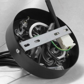 Подвесная люстра Lussole Seneca GRLSP-8177 в Сысерти - sysert.ok-mebel.com | фото 10