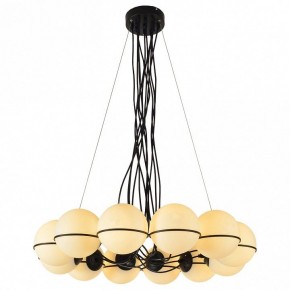 Подвесная люстра Lussole Seneca LSP-8177 в Сысерти - sysert.ok-mebel.com | фото
