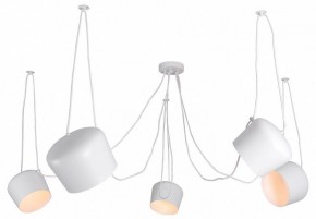 Подвесная люстра Lussole Shirley LSP-8175 в Сысерти - sysert.ok-mebel.com | фото