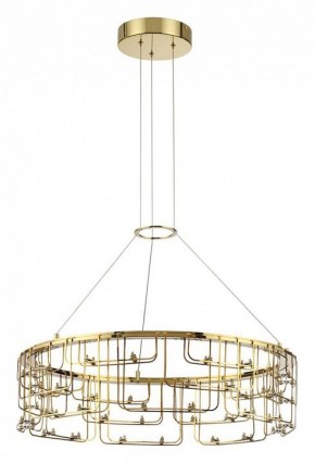Подвесная люстра Odeon Light ZAHA 7060/44L в Сысерти - sysert.ok-mebel.com | фото 2