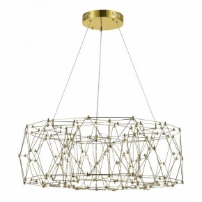 Подвесная люстра ST-Luce Gravetta SL6602.203.48 в Сысерти - sysert.ok-mebel.com | фото 3