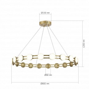 Подвесная люстра ST-Luce MONRO SL6610.203.20 в Сысерти - sysert.ok-mebel.com | фото 5