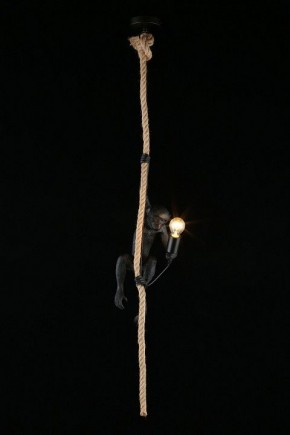 Подвесной светильник Aployt Magali APL.309.16.01 в Сысерти - sysert.ok-mebel.com | фото 3