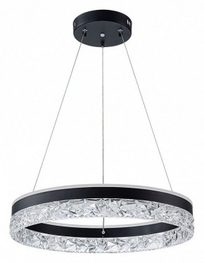 Подвесной светильник Arte Lamp Apollo A2549SP-75BK в Сысерти - sysert.ok-mebel.com | фото 2