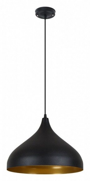 Подвесной светильник Arte Lamp Carmel A7076SP-1BK в Сысерти - sysert.ok-mebel.com | фото 2