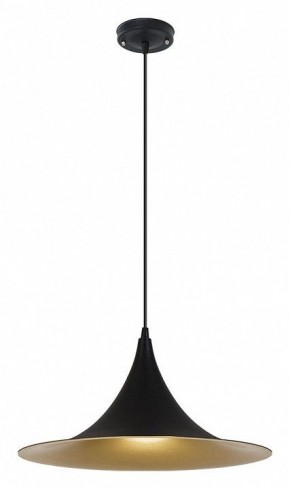 Подвесной светильник Arte Lamp Carmel A7080SP-1BK в Сысерти - sysert.ok-mebel.com | фото 2
