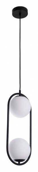Подвесной светильник Arte Lamp Matisse A7745SP-2BK в Сысерти - sysert.ok-mebel.com | фото 2