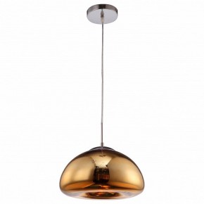 Подвесной светильник Arte Lamp Swift A8041SP-1GO в Сысерти - sysert.ok-mebel.com | фото 2