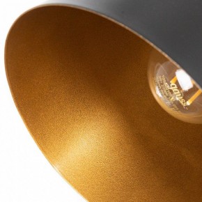 Подвесной светильник Arte Lamp Thomas A7032SP-1BK в Сысерти - sysert.ok-mebel.com | фото 5