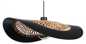 Подвесной светильник Arte Lamp Woodstock A7059SP-1BK в Сысерти - sysert.ok-mebel.com | фото