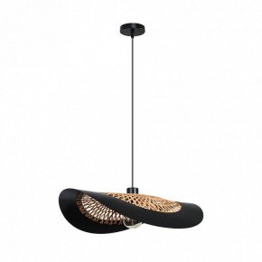 Подвесной светильник Arte Lamp Woodstock A7059SP-1BK в Сысерти - sysert.ok-mebel.com | фото 2