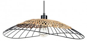 Подвесной светильник Arte Lamp Woodstock A7061SP-1BK в Сысерти - sysert.ok-mebel.com | фото