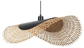 Подвесной светильник Arte Lamp Woodstock A7063SP-1BK в Сысерти - sysert.ok-mebel.com | фото