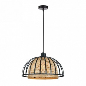 Подвесной светильник Arte Lamp Woodstock A7071SP-1BK в Сысерти - sysert.ok-mebel.com | фото