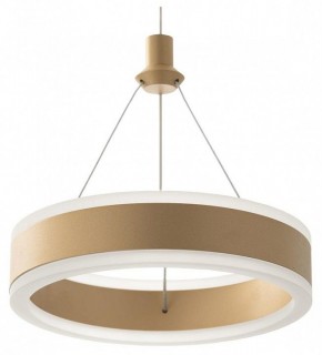 Подвесной светильник Citilux Дуэт CL719012 в Сысерти - sysert.ok-mebel.com | фото 4