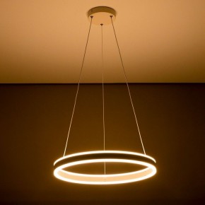 Подвесной светильник Citilux Дуэт CL719500 в Сысерти - sysert.ok-mebel.com | фото 11