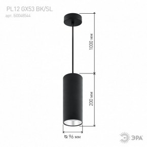 Подвесной светильник Эра  PL12 GX53 BK/SL в Сысерти - sysert.ok-mebel.com | фото 8