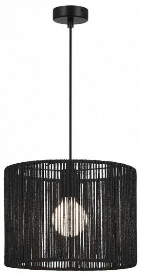 Подвесной светильник EVOLUCE ETTAN SLE6024-403-01 в Сысерти - sysert.ok-mebel.com | фото 2
