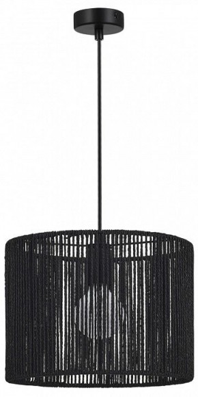 Подвесной светильник EVOLUCE ETTAN SLE6024-403-01 в Сысерти - sysert.ok-mebel.com | фото 4