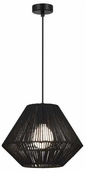 Подвесной светильник EVOLUCE ETTAN SLE6025-403-01 в Сысерти - sysert.ok-mebel.com | фото 2