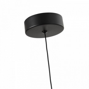 Подвесной светильник Favourite Cattivo 4452-1P в Сысерти - sysert.ok-mebel.com | фото 7