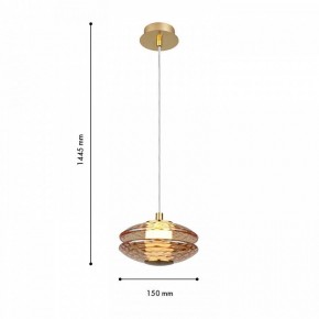 Подвесной светильник Favourite Claros 4641-1P в Сысерти - sysert.ok-mebel.com | фото 4