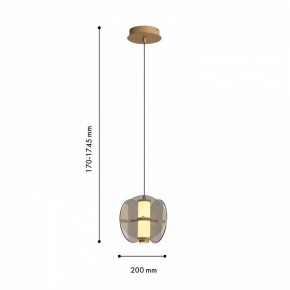 Подвесной светильник Favourite Fada 4625-1P в Сысерти - sysert.ok-mebel.com | фото 5