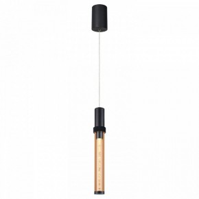Подвесной светильник Favourite Gordon 4716-1P в Сысерти - sysert.ok-mebel.com | фото 2