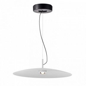 Подвесной светильник Favourite Lars 4410-2P в Сысерти - sysert.ok-mebel.com | фото 2