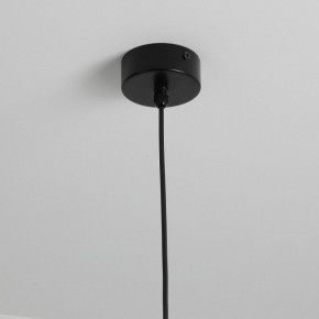Подвесной светильник Favourite Outdoor 4702-1P в Сысерти - sysert.ok-mebel.com | фото 9